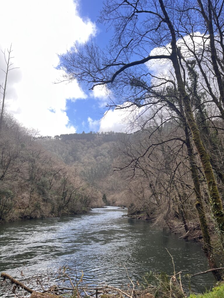 Valle del río Eume formando el cañón del bosque atlántico gallego