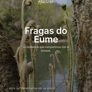 guÍa interpretativa digital fragas do eume: la fraga como espejo del ser humano
